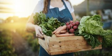 Hà Nội Enhances Agricultural Product Chains for Greater Economic Efficiency