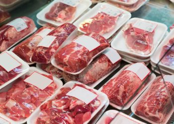 Beef Export Sales Reach Marketing Year High
