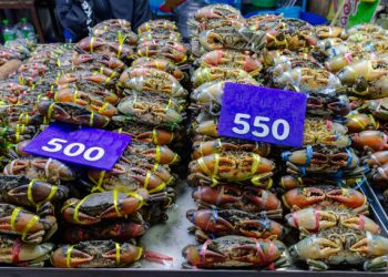 Expo Highlights Seafood Exports and Domestic Consumption