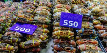 Expo Highlights Seafood Exports and Domestic Consumption