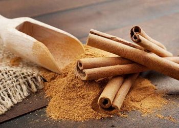 Asia Represents Vietnam’s Largest Market for Cinnamon Imports