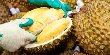 Vietnam Gains Approval to Export Frozen Durian and Fresh Coconuts to China