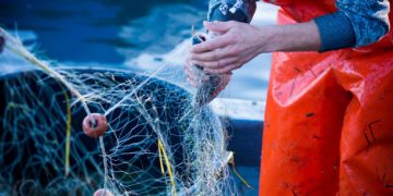 Vietnam's Fisheries Export Revenue Reports Significant Increase in July