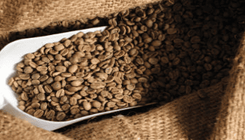 The Green Coffee Company Secures $15M Investment to Expand Operations