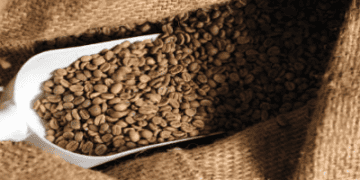 The Green Coffee Company Secures $15M Investment to Expand Operations