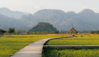 Philippines Sees 19% Increase in Rice Imports Over First 8 Months of 2024