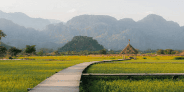 Philippines Sees 19% Increase in Rice Imports Over First 8 Months of 2024