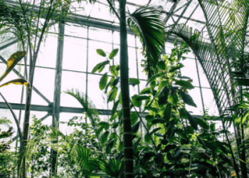 BrightFarms Opens First of Three New Regional Greenhouse Hubs