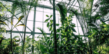 BrightFarms Opens First of Three New Regional Greenhouse Hubs