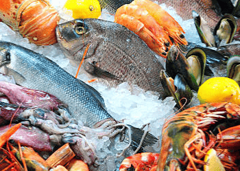 Japan's Seafood Industry Adapts and Expands Amid Shifting Export Markets