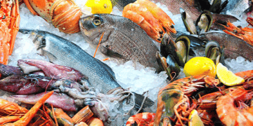 Japan's Seafood Industry Adapts and Expands Amid Shifting Export Markets