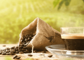 Tanzania Plans to Double Coffee Exports in Five Years