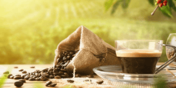 Tanzania Plans to Double Coffee Exports in Five Years