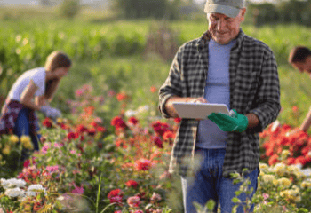 Kenyan Flower Industry Faces Challenges Amid Labor Concerns