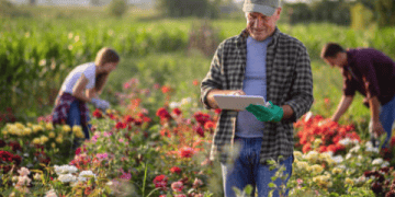 Kenyan Flower Industry Faces Challenges Amid Labor Concerns