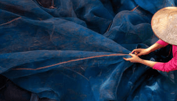 Vietnam's Aquatic Product Exports Show Positive Trends for Year-End