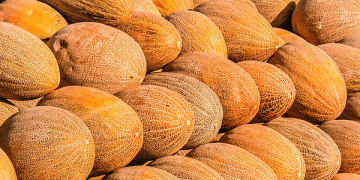 US to Import Uzbek Melons Following Export Issue Resolution
