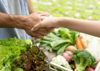 Farmer and buyer shaking hands over a crate of fresh produce, symbolizing international food trade cooperation. - Supply Chain News