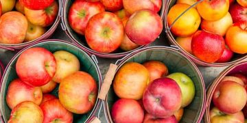 Washington Apple Commission Focuses on Exports to Canada and Mexico