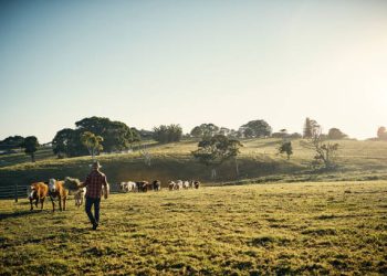 U.S. Agricultural Trade Faces Significant Challenges