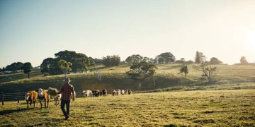 U.S. Agricultural Trade Faces Significant Challenges