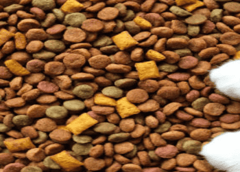 Thailand Aims to Boost Pet Food Exports to Taiwan and Japan