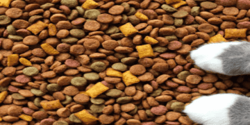 Thailand Aims to Boost Pet Food Exports to Taiwan and Japan