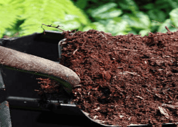 Saudi Fertilizer Exports to the US Increase 2% Amid Growing Trade Relations