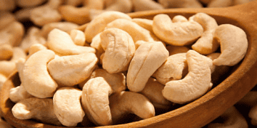 Nigeria Expected to Earn N792bn from Premium Cashew Nut Exports