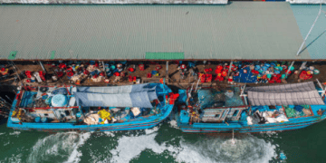 China's Growing Demand for Vietnamese Fish Bladders Marks New Export Trends