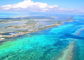Belize Emerges as a Hub for International Trade Finance