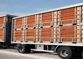 Food Corporation of India Transforms Supply Chain Management System under Anna Darpan