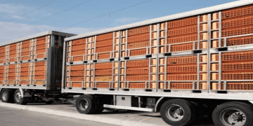 Food Corporation of India Transforms Supply Chain Management System under Anna Darpan