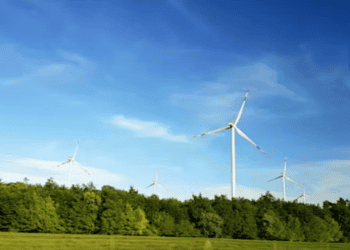 Embracing Sustainability in Supply Chain Operations