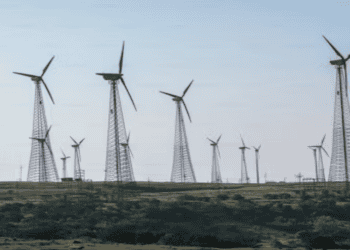 Firms with Green Innovation Patents Benefit from Credit Market, Finds Study