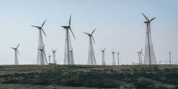 Firms with Green Innovation Patents Benefit from Credit Market, Finds Study