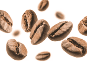 Coffee Export Turnover Experiences Significant Increase