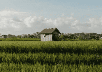 Caverton Marine Advocates for Safe Water Transport