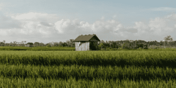 Caverton Marine Advocates for Safe Water Transport