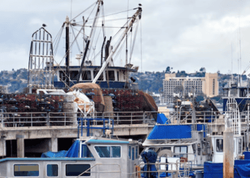 Caverton Marine Advocates for Safe Water Transport