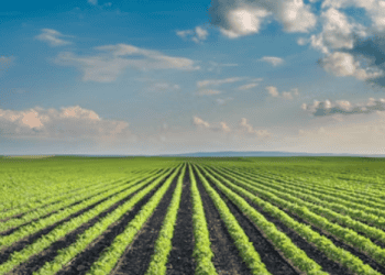 Maersk Secures Bio-Methanol Supply Deal with China’s LONGi Green Energy Technology