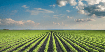 Maersk Secures Bio-Methanol Supply Deal with China’s LONGi Green Energy Technology