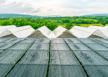 Singapore Looks to Import Green Electricity from Indonesia