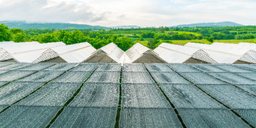 Singapore Looks to Import Green Electricity from Indonesia