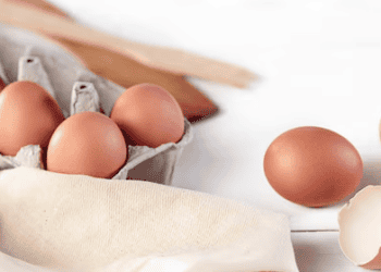 Figaro Coffee Group Commits to 100% Cage-Free Egg Sourcing by 2035, Gaining International Recognition