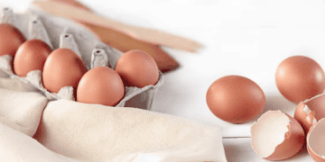 Figaro Coffee Group Commits to 100% Cage-Free Egg Sourcing by 2035, Gaining International Recognition