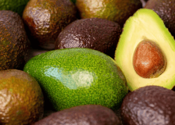 Avocados Australia Signs AUD $300 Million Purchase Agreement with Shanghai Markets