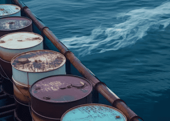 China to Introduce First Bio-Marine Fuel Export Quotas in 2025