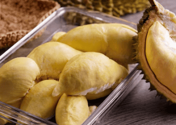 China to Introduce First Bio-Marine Fuel Export Quotas in 2025