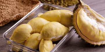 China to Introduce First Bio-Marine Fuel Export Quotas in 2025